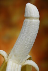 a banana shaped like a penis. 